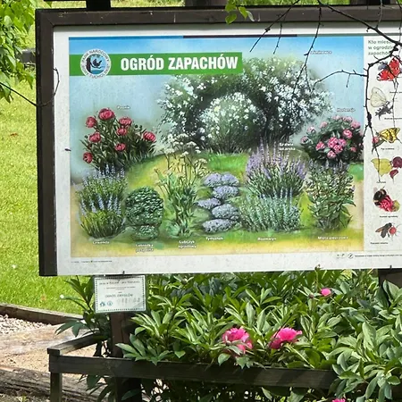 Z Widokiem Na Jezioro *